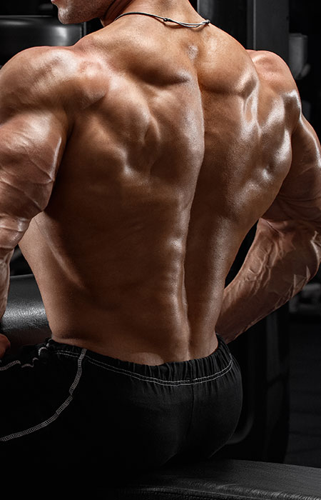 MEN’S HEALTH | MAGNUMBIO Health & Wellness GENERAL HEALTH | MAGNUMBIO Health & Wellness